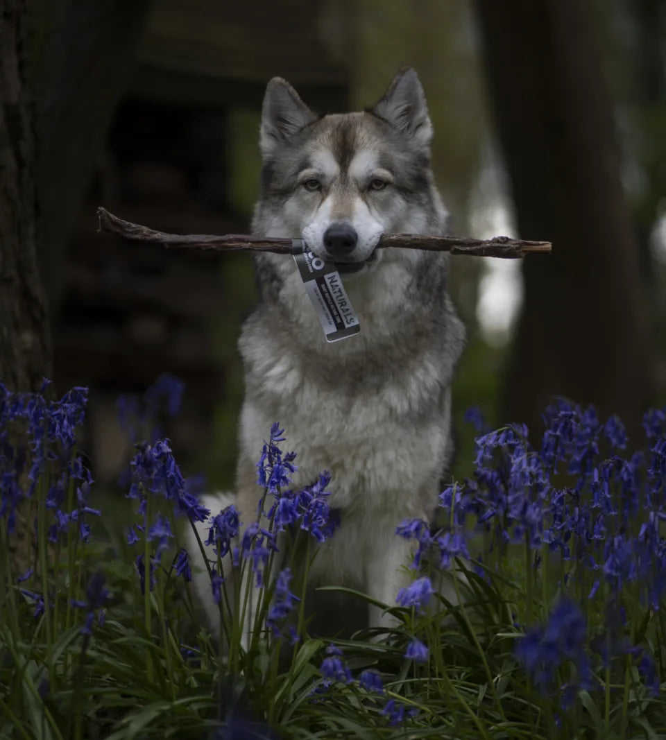 Giant Buffalo Biltong Tube