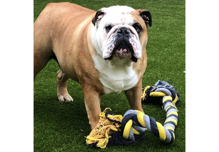 Jumbo Super rope toy