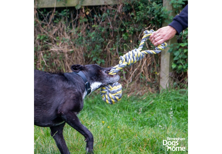 Jumbo Rope Tugger
