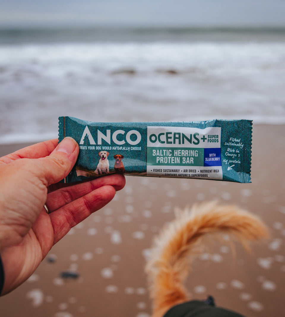 Oceans + Baltic Herring Protein Bars