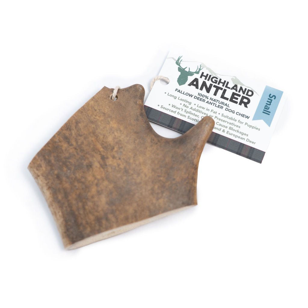 Fallow Antler small <75g