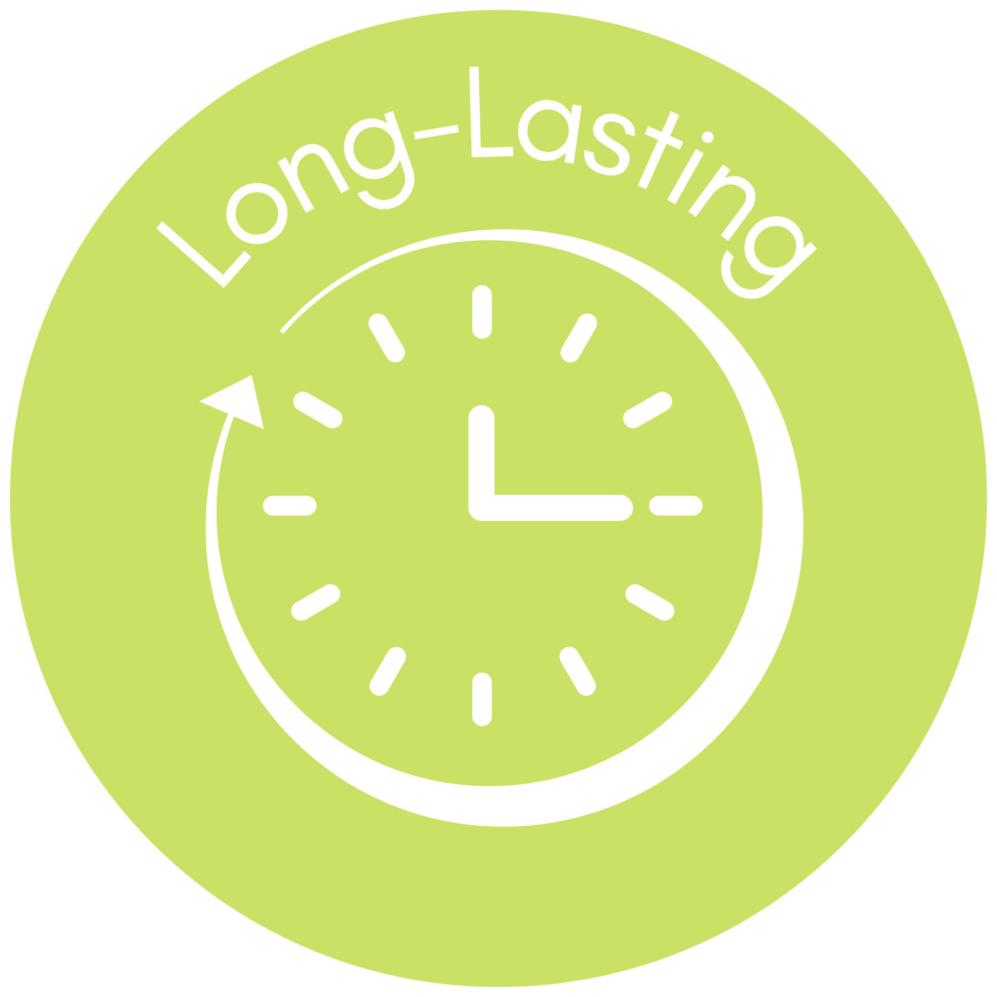 Metatarsus Bone Ostrich