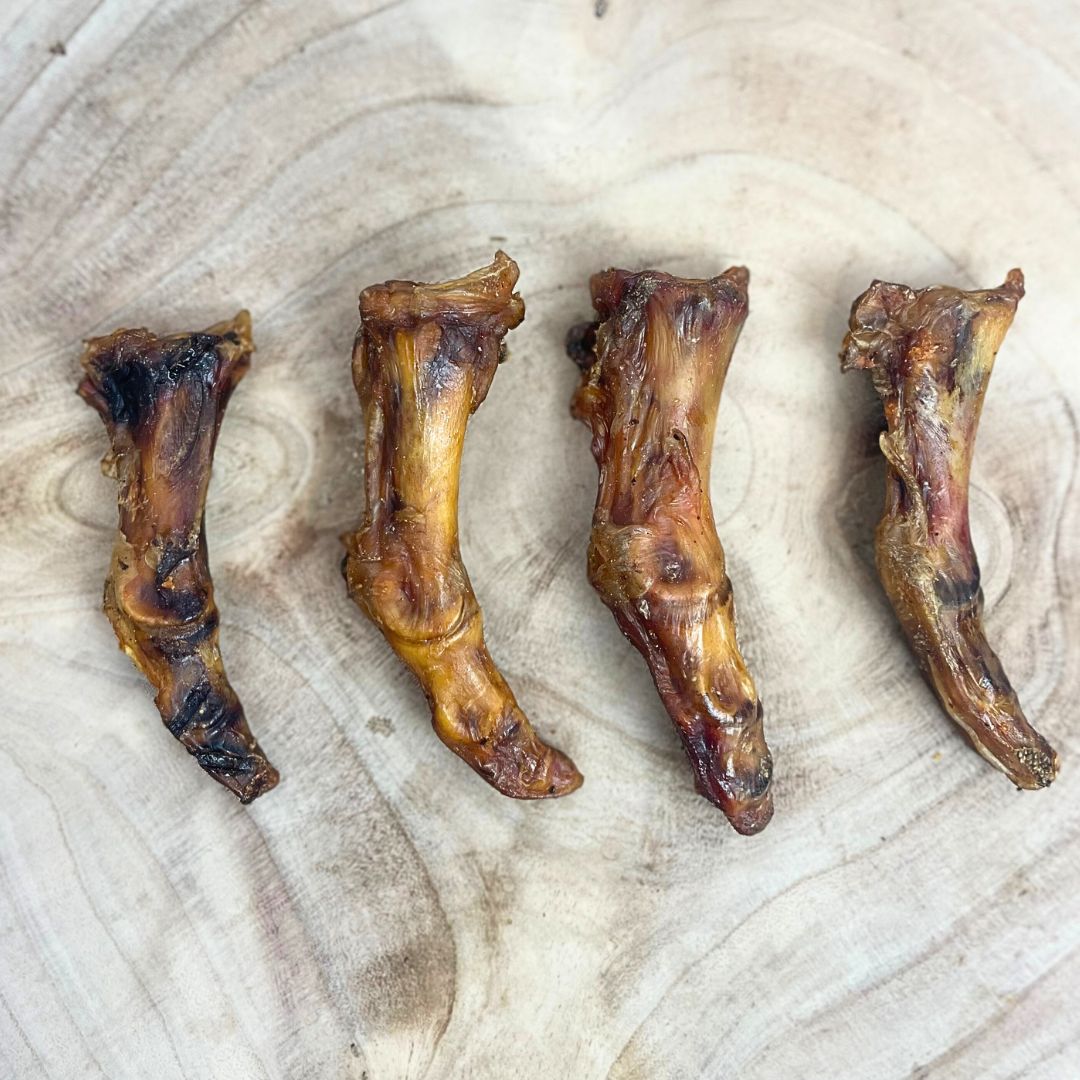 Ostrich Foot Small