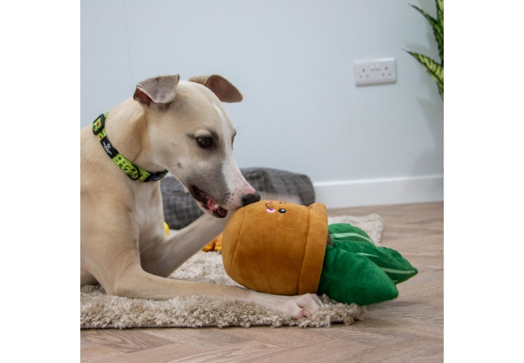 Cactus stuffed toy