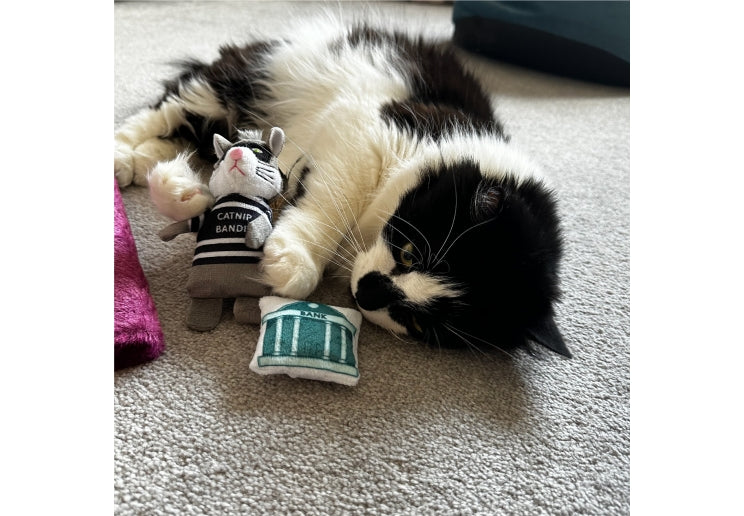 Catnip Bank Robber toy