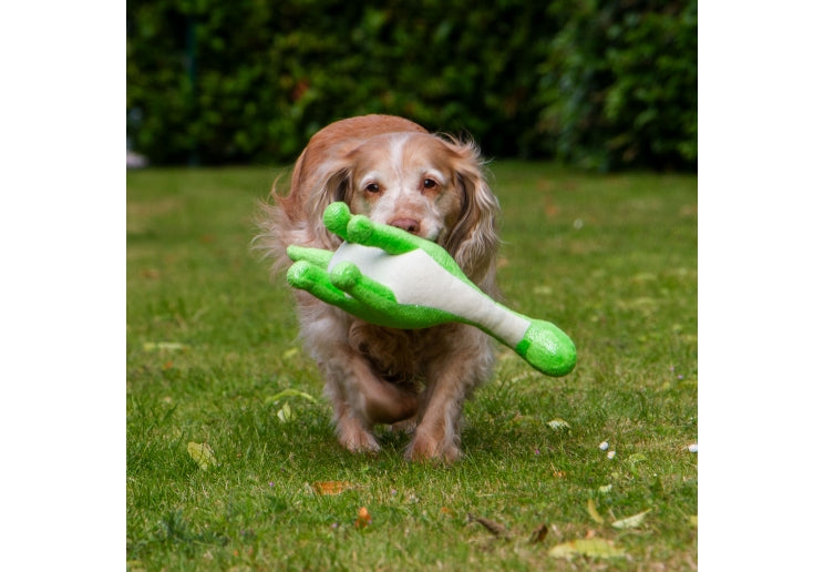 Roarsome Dino Toy