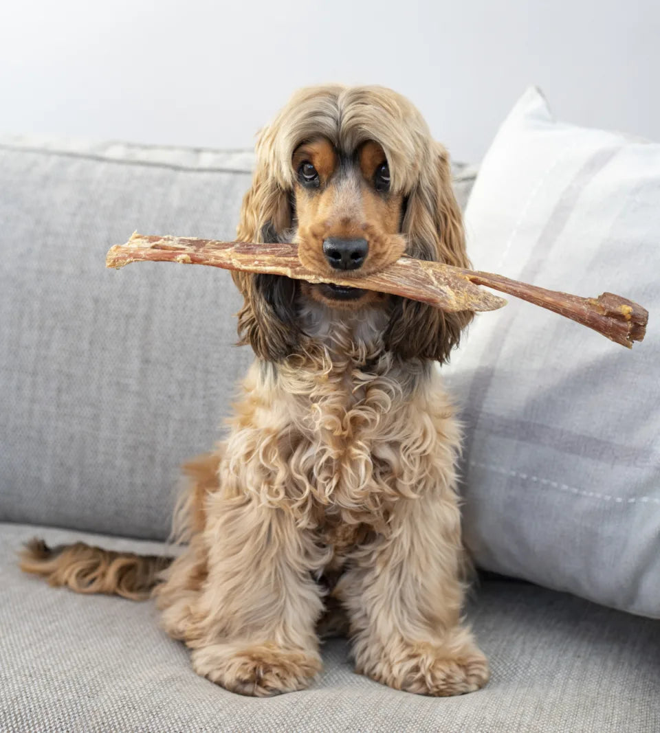 Giant Paddy Wack Stick