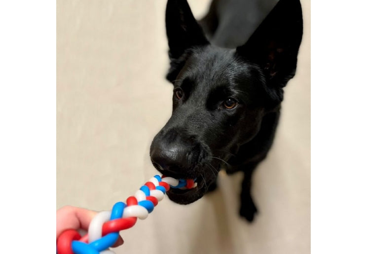 Glow In the Dark Rope toy