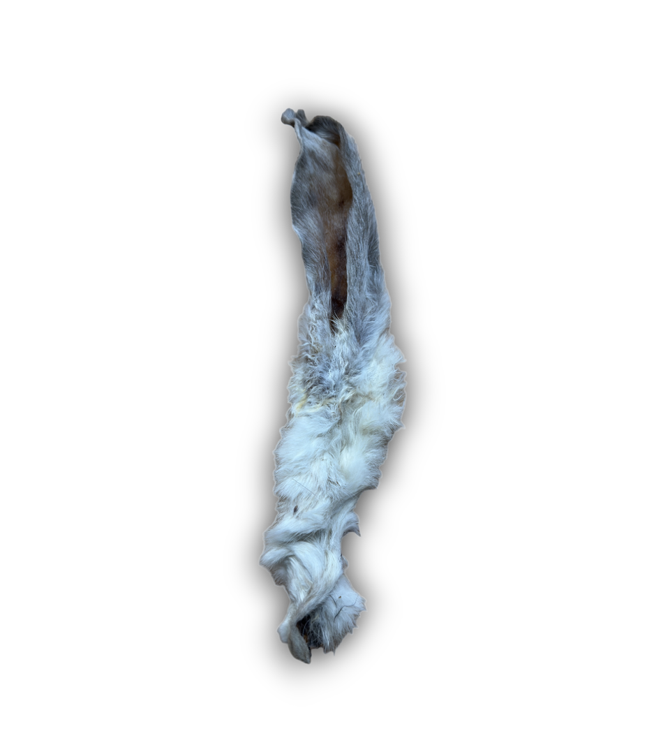 Rabbit Ear Hairy