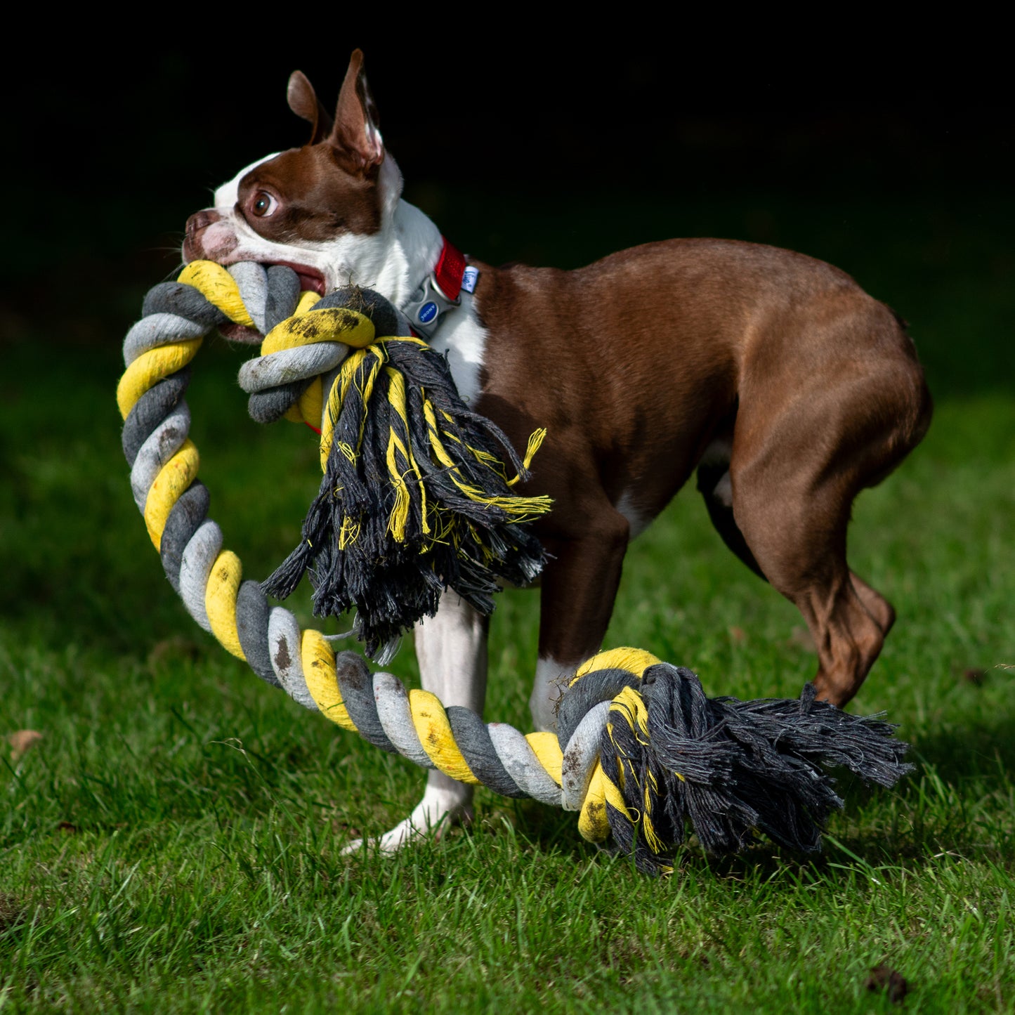 Jumbo Super rope toy