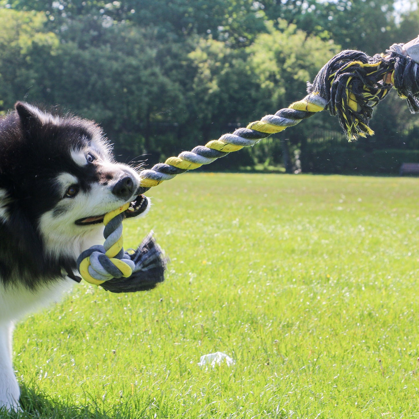 Jumbo Super rope toy