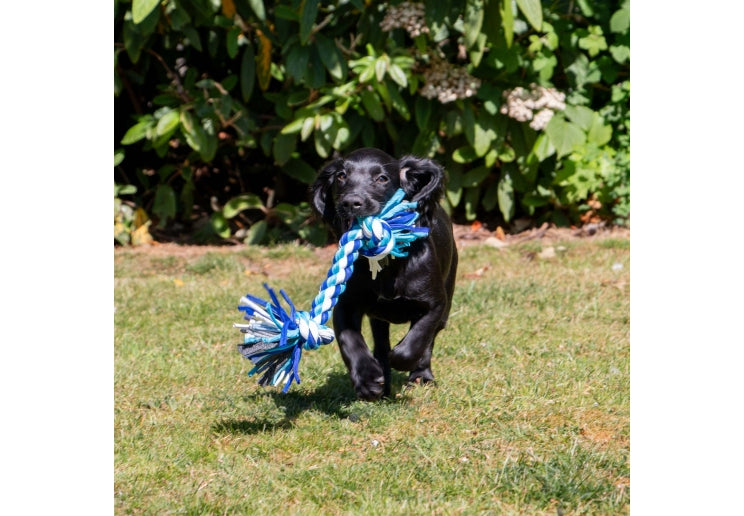 Multi coloured medium rope toy