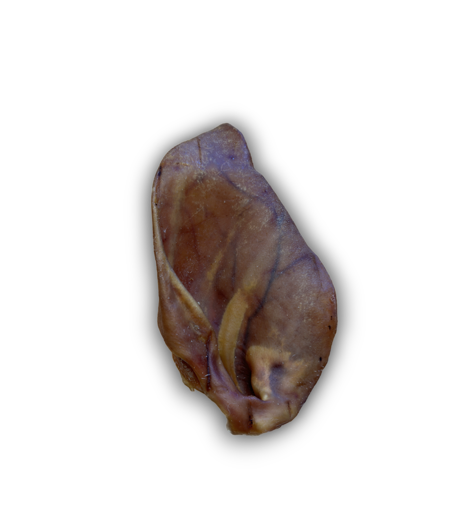 Pigs Ear