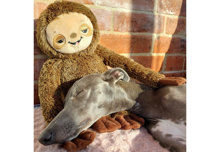 Sleepy Sloth soft toy