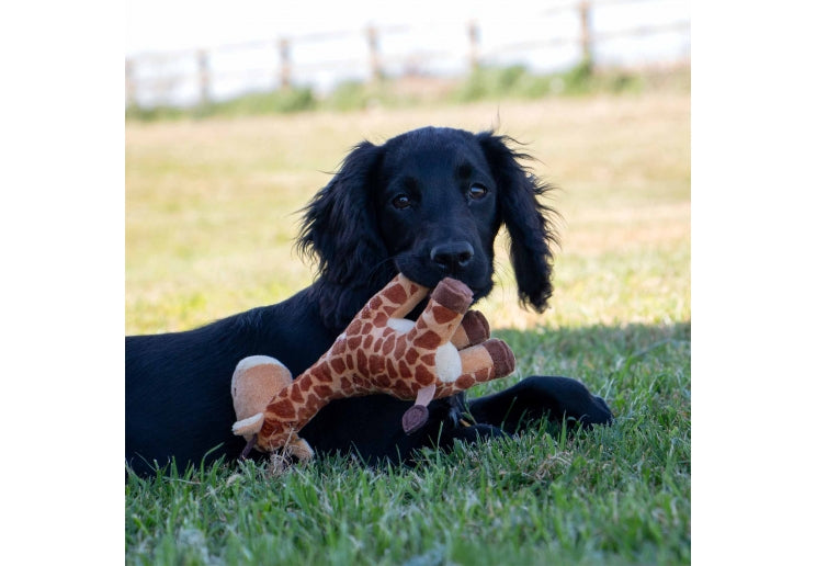 Small Bites Giraffe