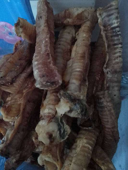 Lamb trachea