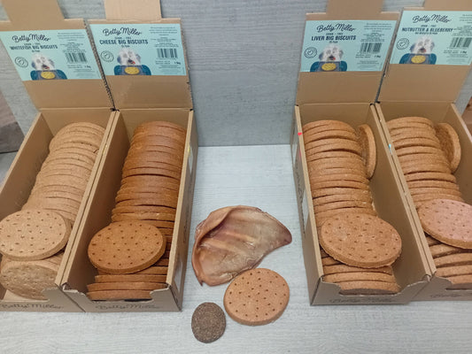 The BIG Biscuit Grain Free
