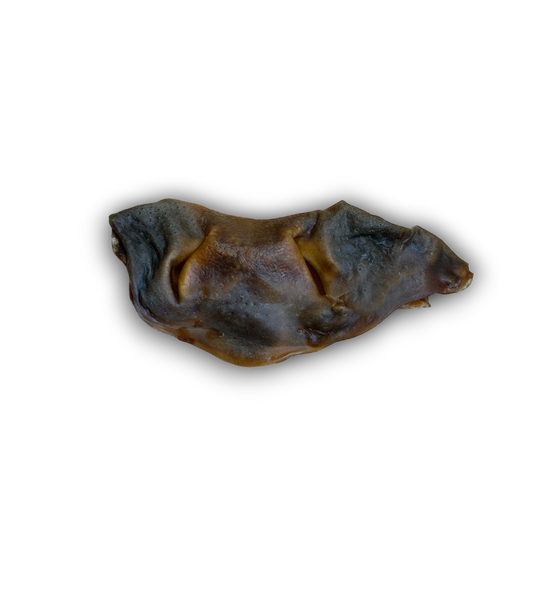 Bully Snouts