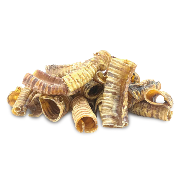 Buffalo Trachea  Piece