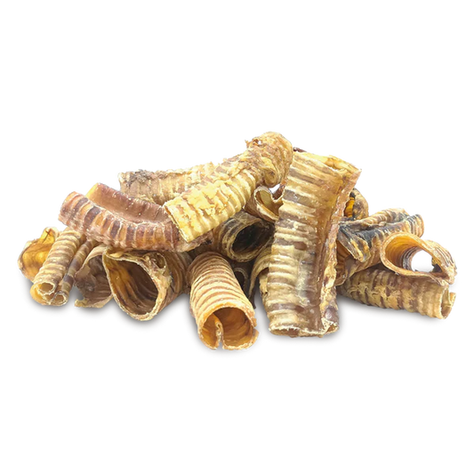 Buffalo Trachea  Piece