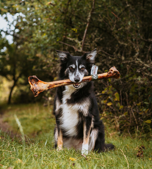Caveman Ostrich Bone