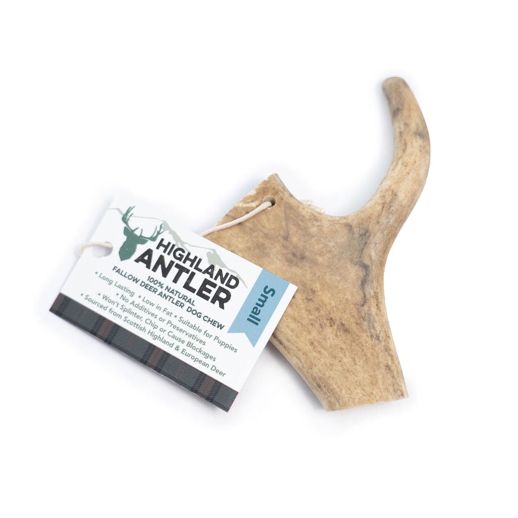 Fallow Antler small <75g