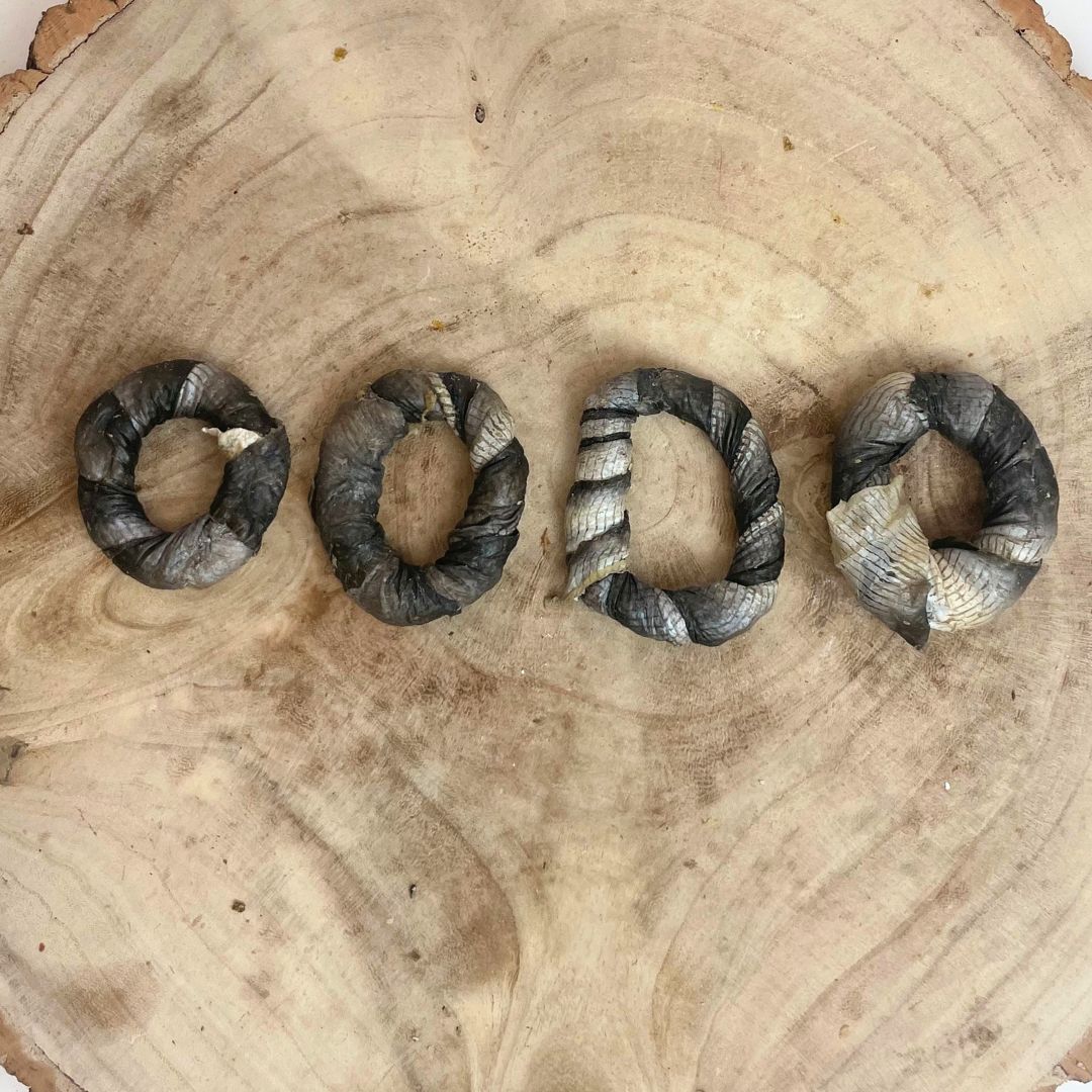 Fish Skin Donut
