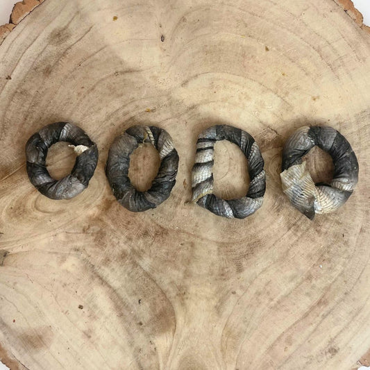 Fish Skin Donut