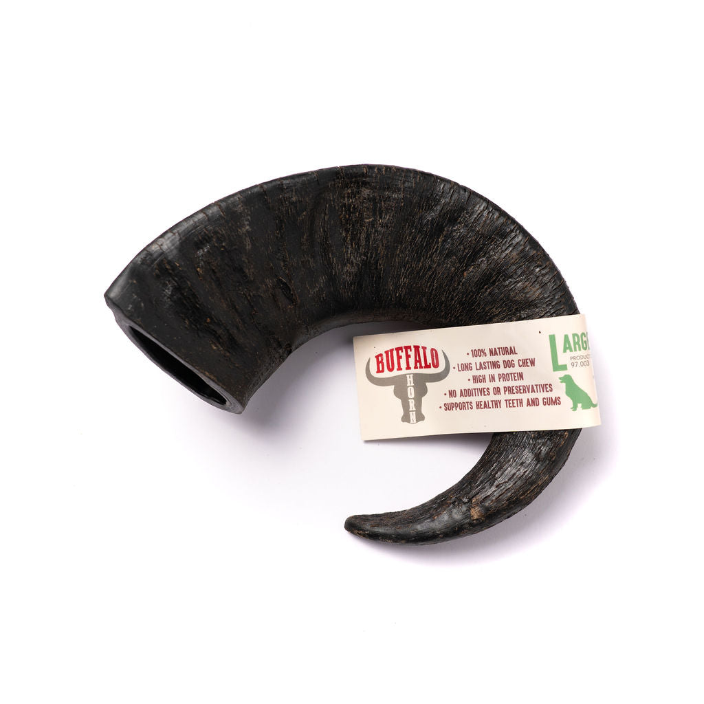 Buffalo horns