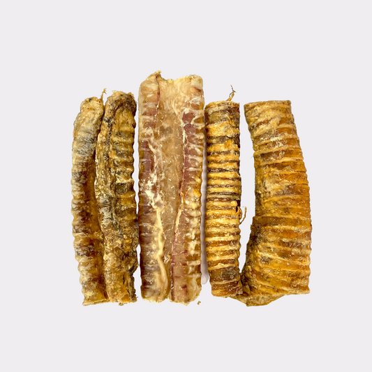 Beef Trachea Cut