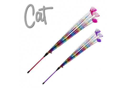 Rainbow feather cat teaser