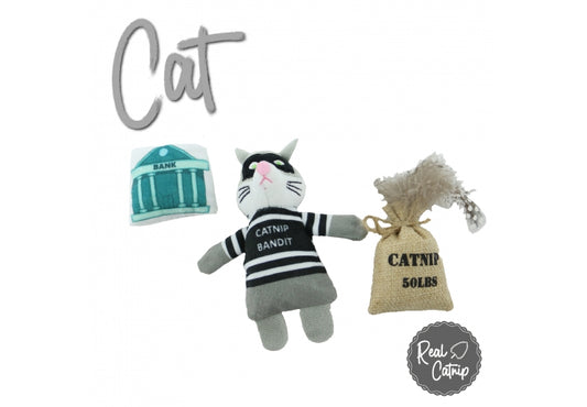 Catnip Bank Robber toy