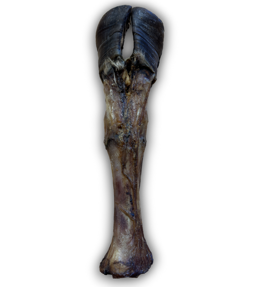 Giant Cow Leg