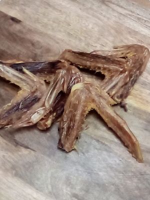Duck Wing