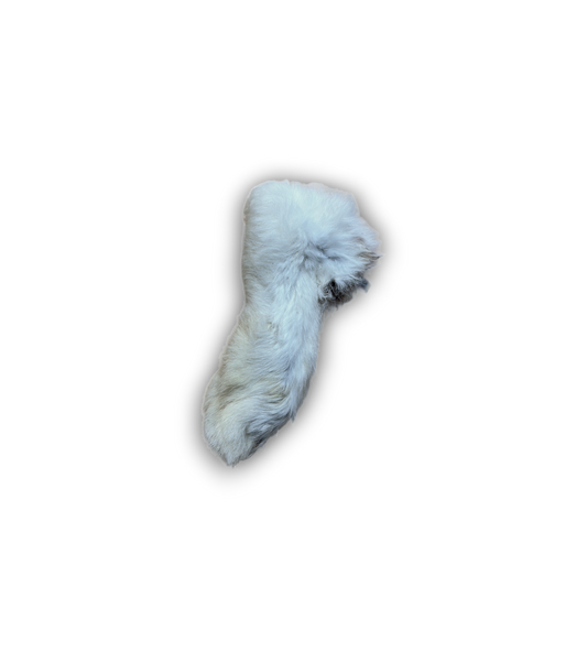 Rabbit Feet Hairy