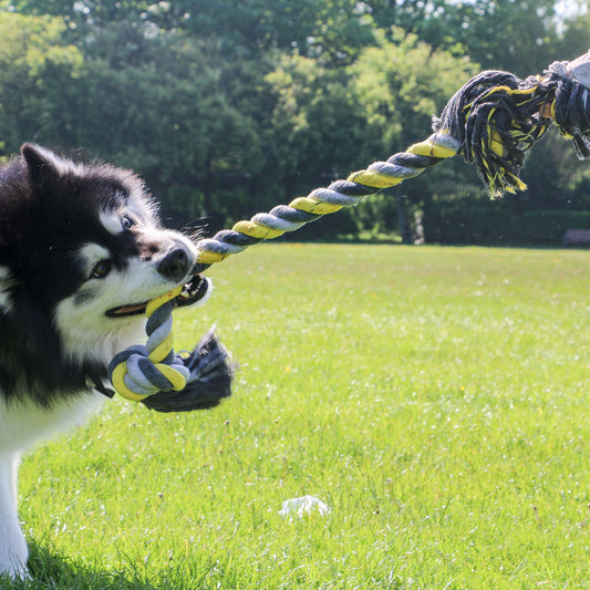 Jumbo Super rope toy
