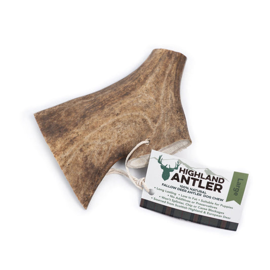 Highland Antler Large Fallow Antler min 150g
