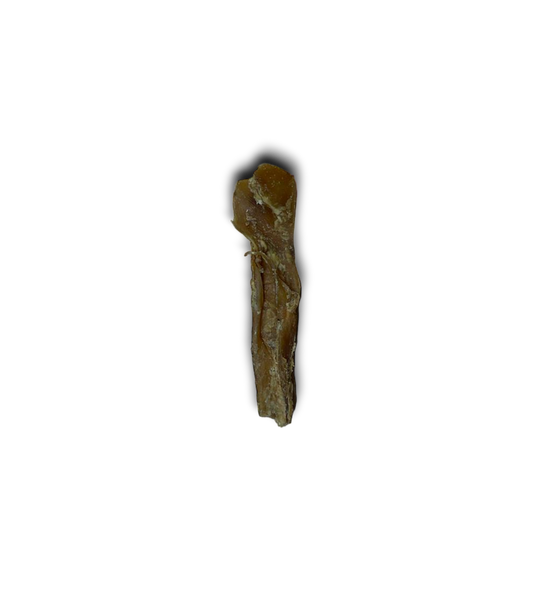 Bully Mini Muscle stick