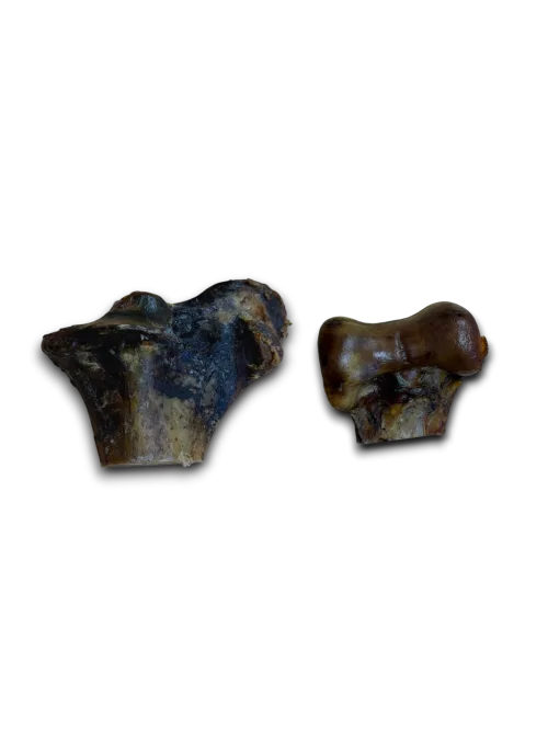 Ostrich Knuckle Bone