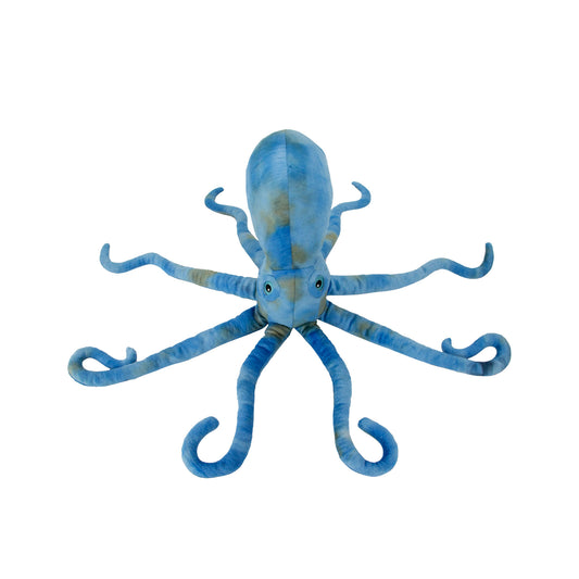 Phil  The Giant Kraken