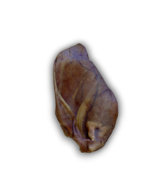 Pigs Ear