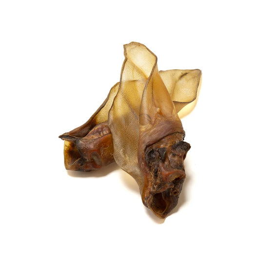 Cow ear no hair
